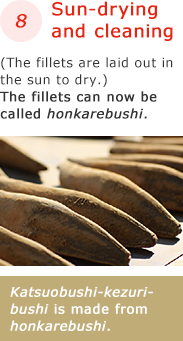 8 Sun-drying and cleaning (The fillets are laid out in the sun to dry.) The fillets can now be called honkarebushi.　Katsuobushi-kezuribushi is made from honkarebushi.